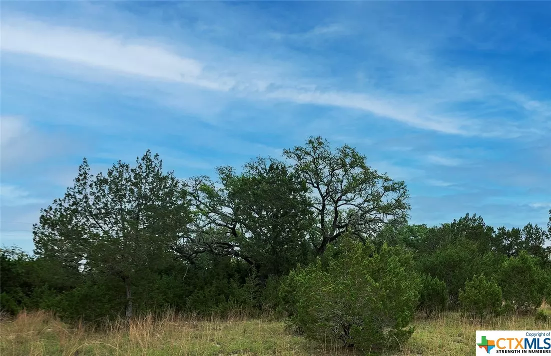 Canyon Lake, TX 78133,198 Sitting Bull TRL