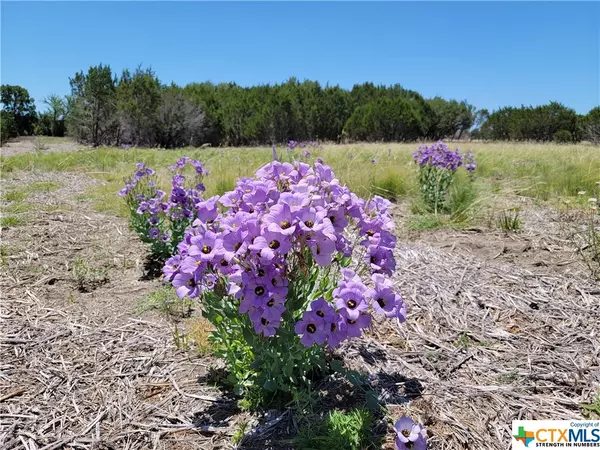 Florence, TX 76527,TBD Stillman Valley RD