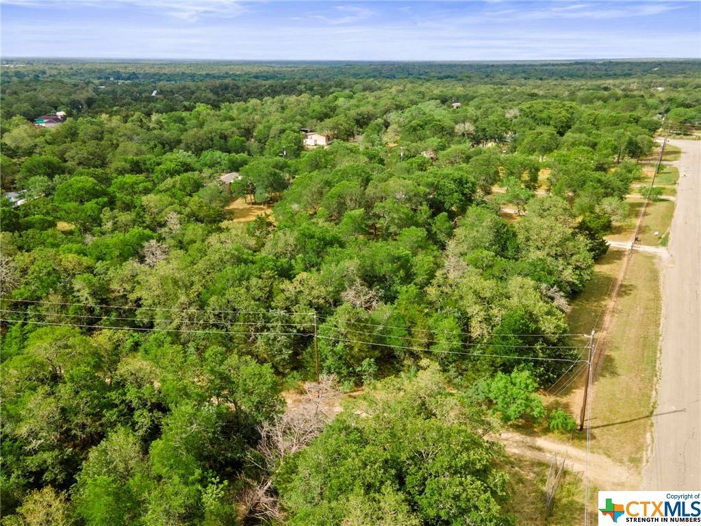 Cedar Creek, TX 78612,180 Sendero CV