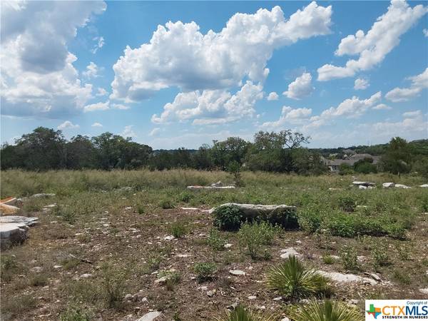 309 EAGLE BASIN CIR, Spicewood, TX 78669