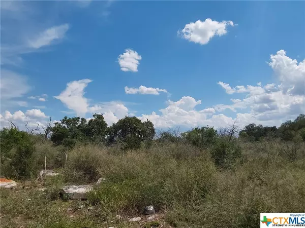 Spicewood, TX 78669,309 EAGLE BASIN CIR