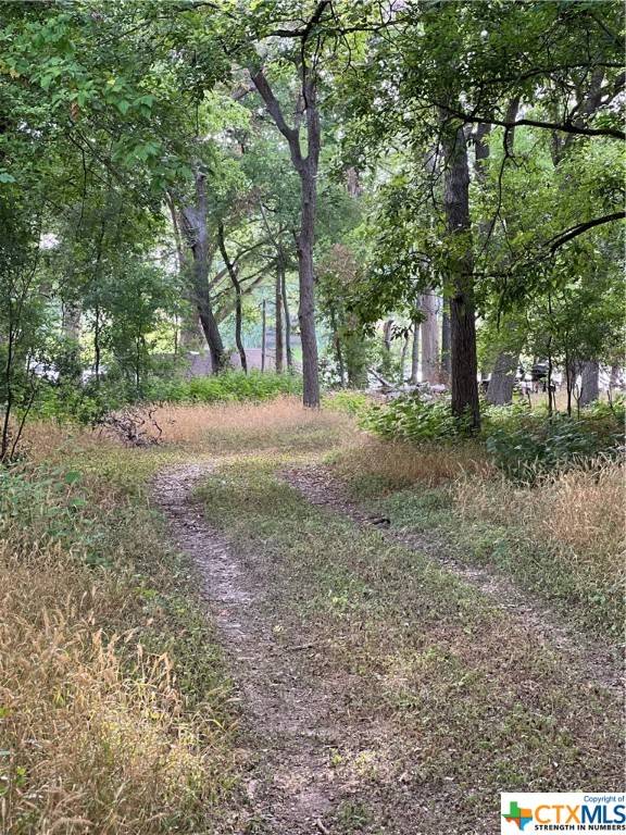 Mcqueeney, TX 78123,140 Shady River LN