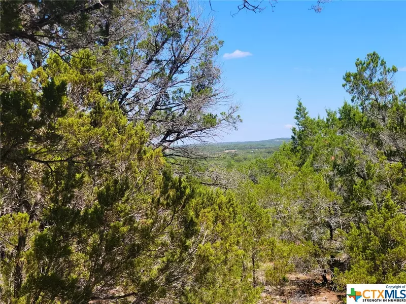 1077 Stallion Springs Dr DR, Fischer, TX 78623