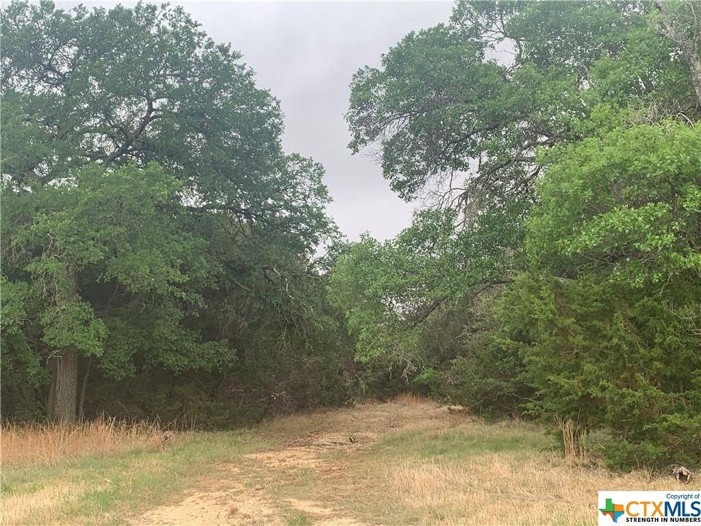 Liberty Hill, TX 78642,140 N Showhorse DR