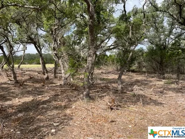 Spring Branch, TX 78070,711 Vista Springs DR