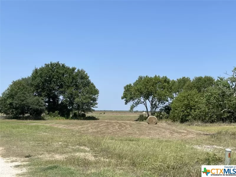 1172 S FM 441 RD, Louise, TX 77455