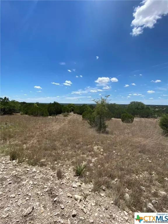 Kempner, TX 76539,Lot 139 High Point DR