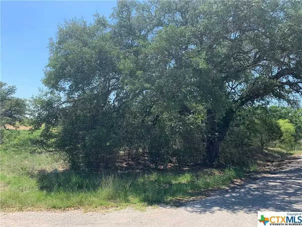 Tow, TX 78672,TBD Spring ST