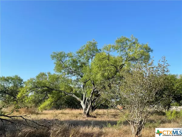 131 Quail RUN,  Seguin,  TX 78155