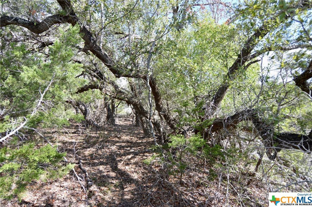 Fischer, TX 78623,11889 Fm 32