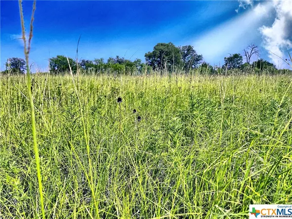 5350 Soda Springs RD,  Luling,  TX 78648