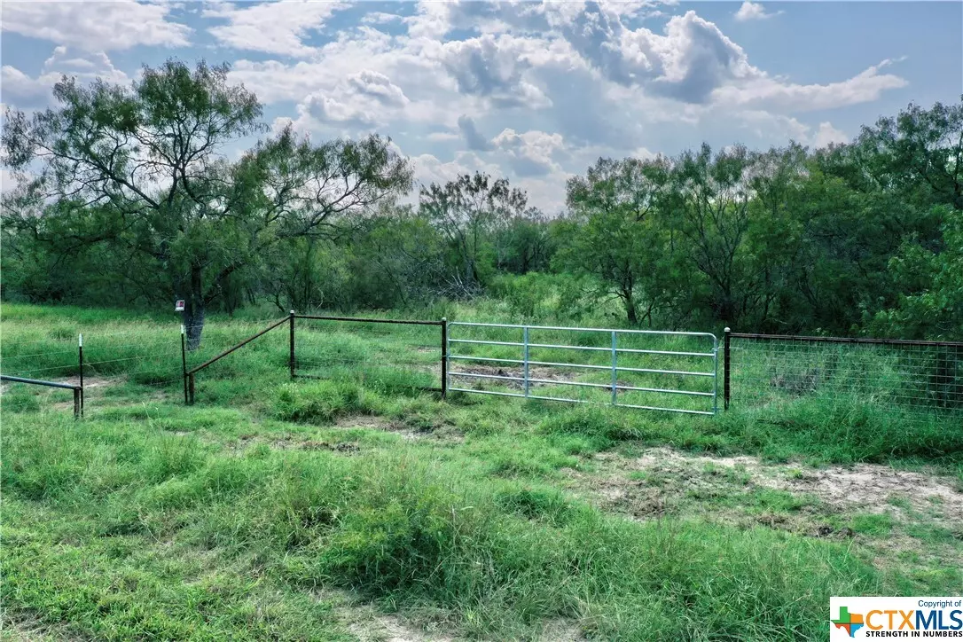 Goliad, TX 77963,000 Pierce RD