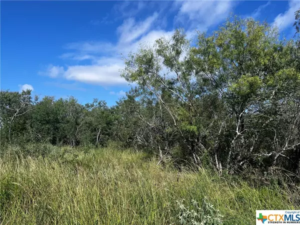 Goliad, TX 77963,000 Pierce RD