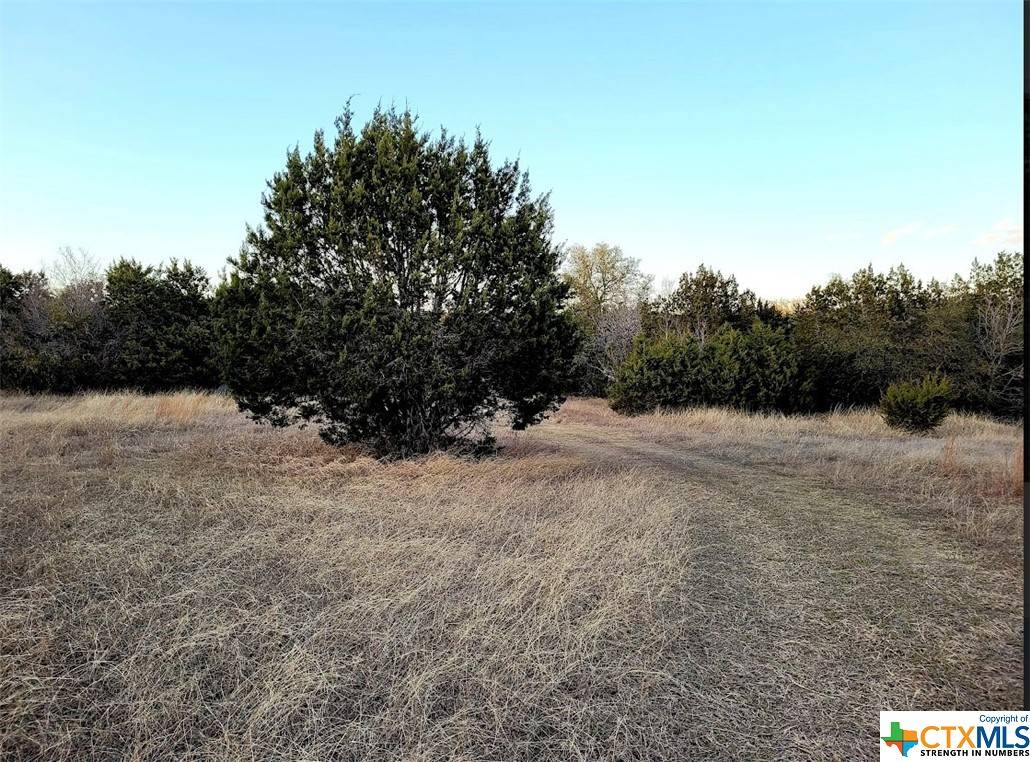Gatesville, TX 76528,1391 Private Road CR 139