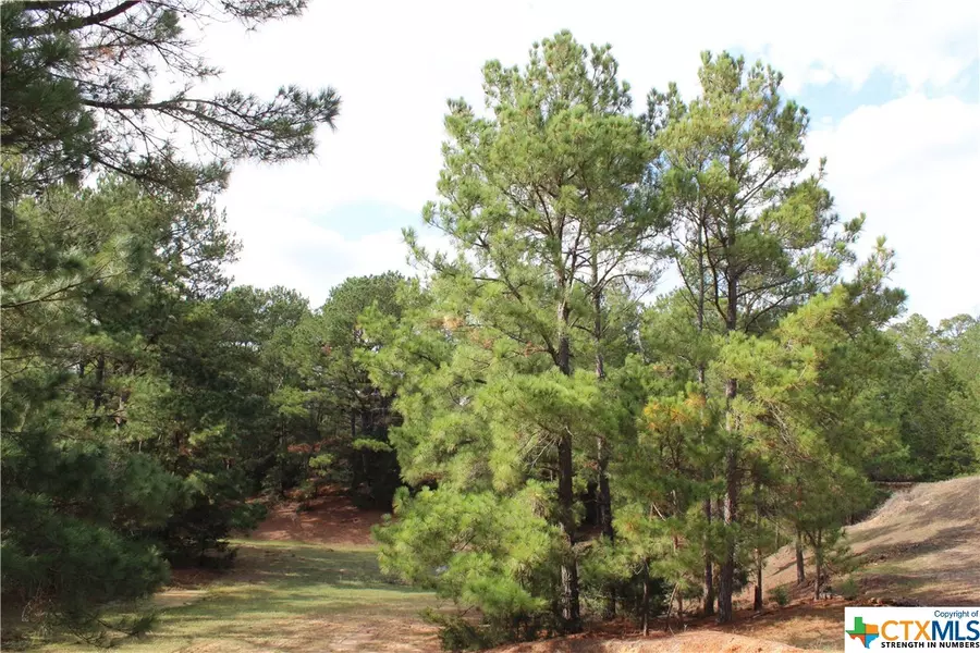 000 Furr Mays RD, Smithville, TX 78957
