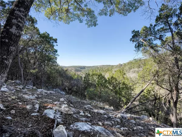 Canyon Lake, TX 78133,730 Vista RDG