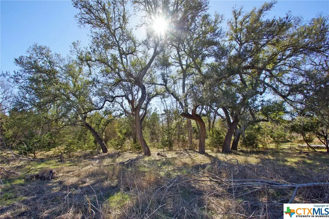 Leander, TX 78641,300 Glory LN