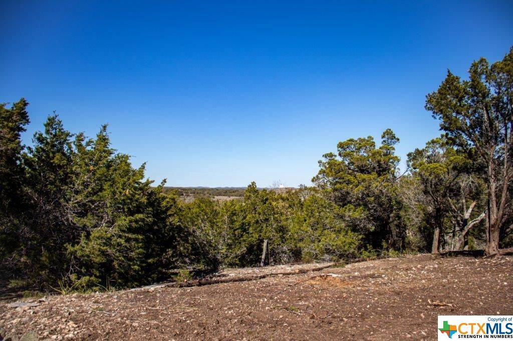 Fischer, TX 78623,1021 Pinon PASS