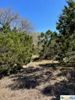 Wimberley, TX 78676,201 Pleasant Valley RD