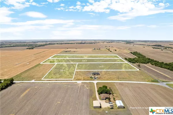 Lot 6 Trlica RD, West, TX 76691