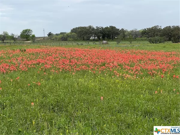 Shiner, TX 77984,TBD US Hwy 90a