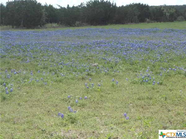 Florence, TX 76527,150 Cuttinghorse LN