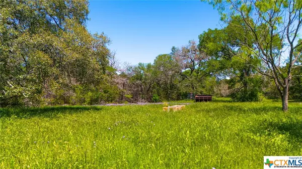 Kempner, TX 78639,0 CR 223