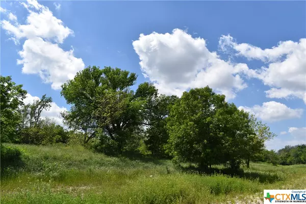 Hutto, TX 78634,212 Gabriel Meadows DR