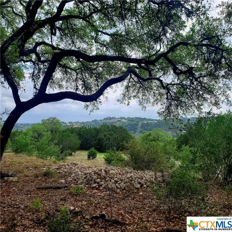 Spring Branch, TX 78070,336 Charon PT