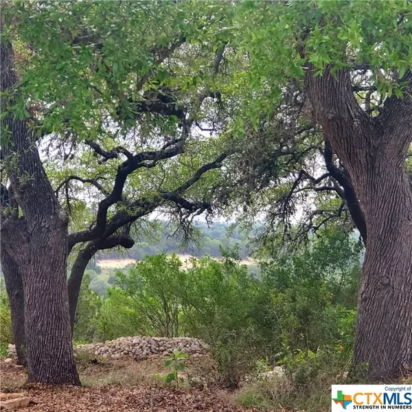 Spring Branch, TX 78070,336 Charon PT