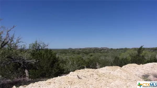 Johnson City, TX 78636,Lot 12/13 Byrd Ranch RD