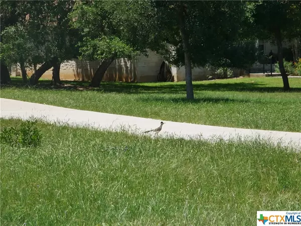 San Marcos, TX 78666,2730 Leslie LN