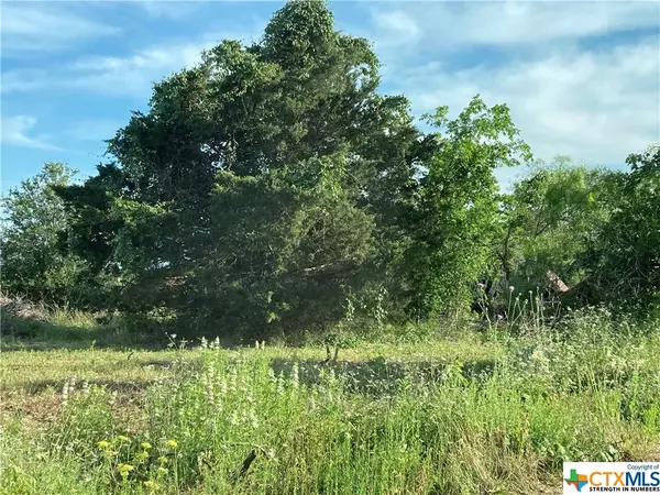 Maxwell, TX 78656,100 Bunny Run @ Garret Trail RD