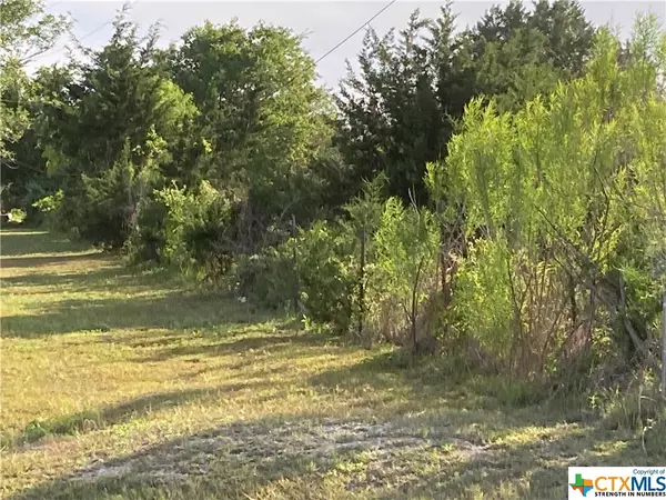 Maxwell, TX 78656,100 Bunny Run @ Garret Trail RD