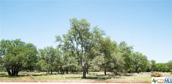 TBD Lot 82 Shin Oak DR, Lampasas, TX 76550