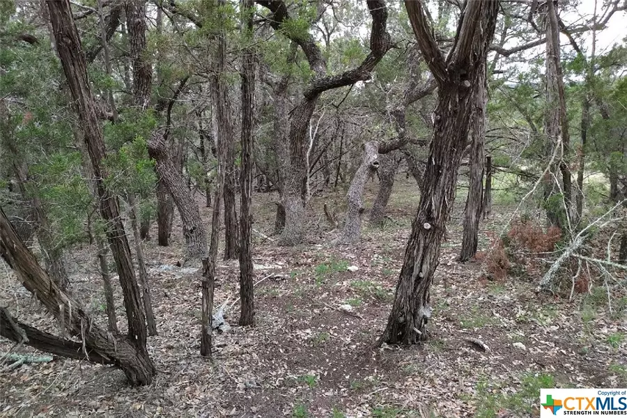 0 Marlys AVE, Canyon Lake, TX 78133