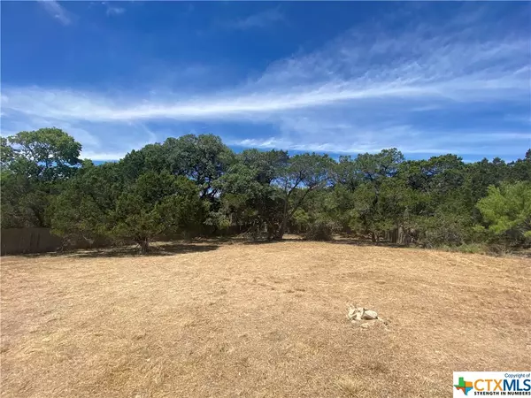 Wimberley, TX 78676,15711 Ranch Road 12