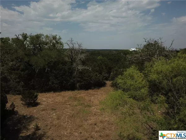 Evant, TX 76525,TBD PR 4219 Lot 94