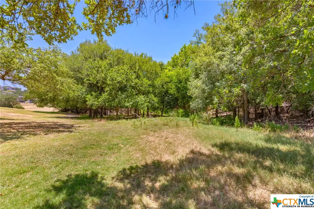 Lago Vista, TX 78645,21465 Lakefront DR