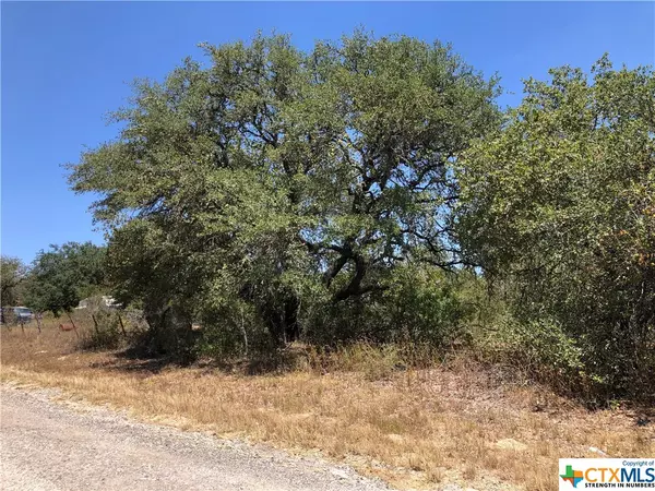 Poteet, TX 78065,TBD Woodland Hills