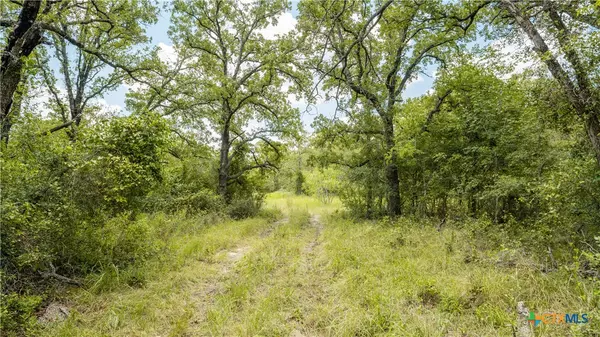 Buckholts, TX 76518,418-b County Road 405