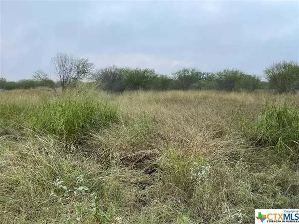 Beeville, TX 78102,144 Cornerstone Ranch RD