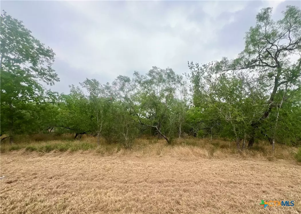 Smiley, TX 78159,Lot 3 Wisteria LN