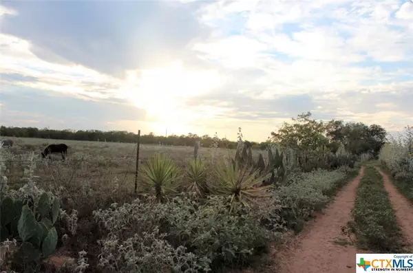 Smiley, TX 78159,Lot 6 Wisteria LN