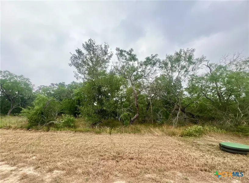 Lot 9 Wisteria LN, Smiley, TX 78159