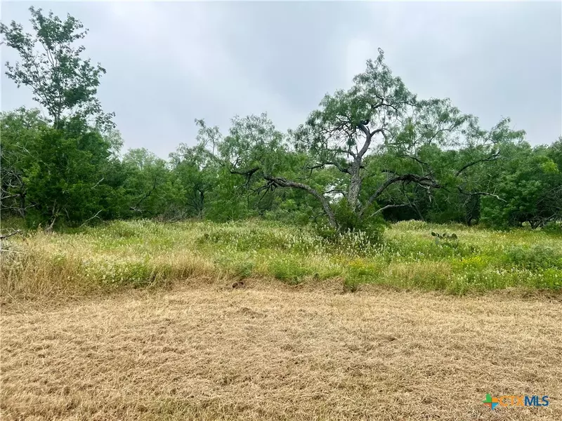 Lot 10 Wisteria LN, Smiley, TX 78159