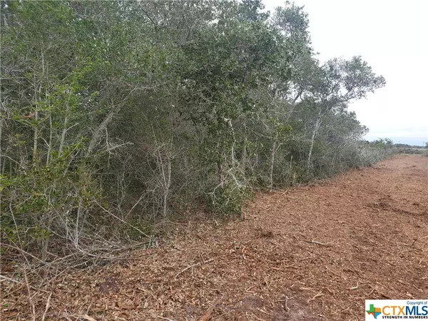 Seadrift, TX 77983,B CARABAJAL RD