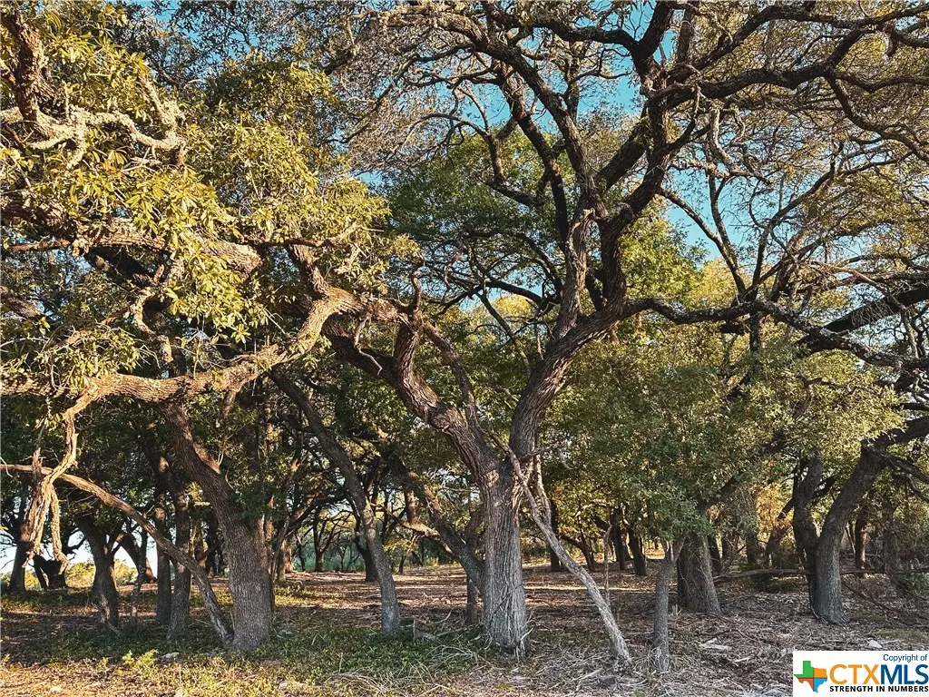 Burnet, TX 78611,Lot 16 Rifle RDG