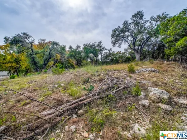 Wimberley, TX 78676,112 Woodacre DR