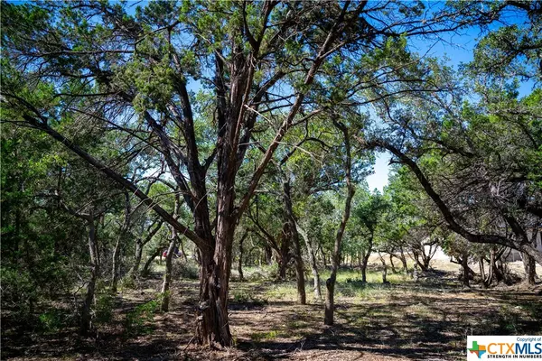 Bulverde, TX 78163,34720 Ansley Ridge TRL